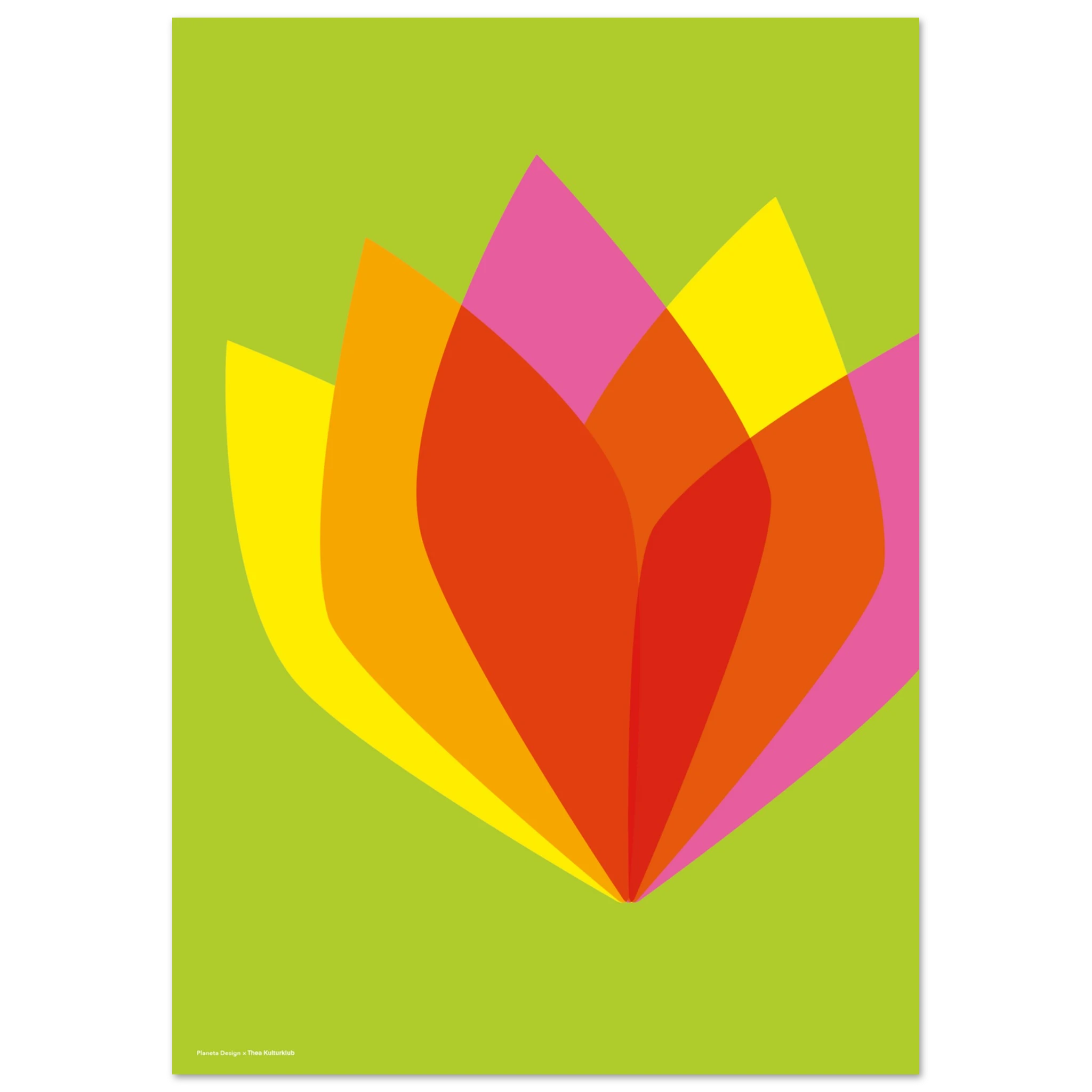 44306bc6-391b-43c8-a155-aa85f93d793c